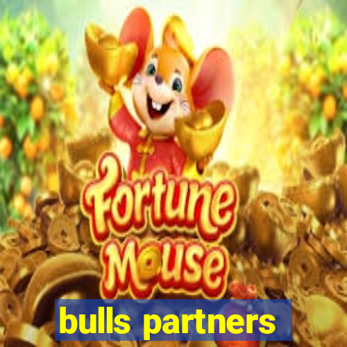 bulls partners